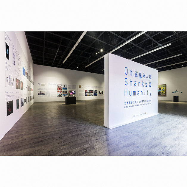 鲨鱼与人类 艺术家的行动|记录档案展 -- 芳草地画廊798